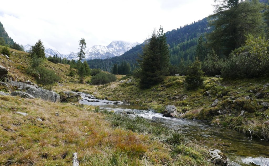 Tributaire-partie-superieure-1800-m-daltitude